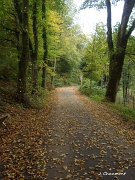 L'atmosphère en automne est très particulière...